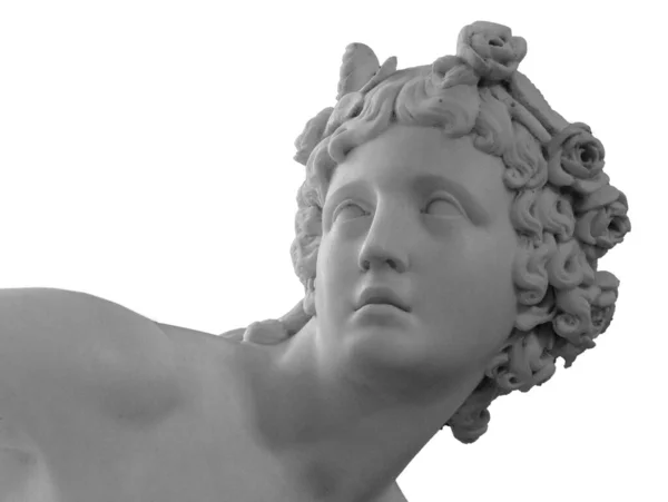 하얀 대리석 조각의 젊은 여성의 머리. 하얀 배경에 고립 된 골동품 스타일 주위에서 나체로 등장하는 관능적 르네상스 시대의 여성의 모습 로열티 프리 스톡 사진