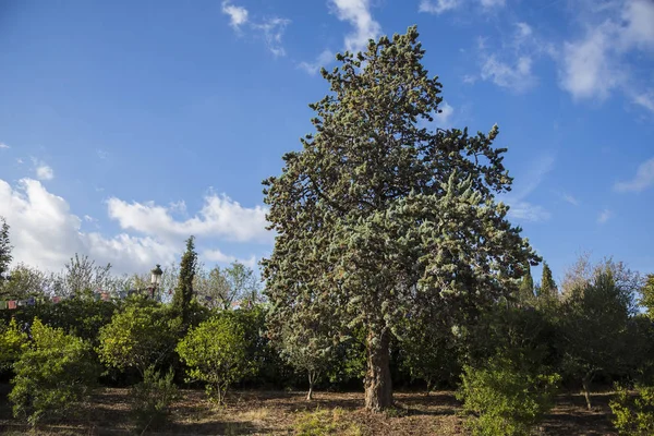 Sakya Tashi Ling Kloster Parque Natural Garraf Spanien — Stockfoto