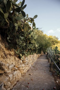 Kaktüsler, Castellet, İspanya ile sokak