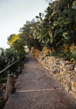 Kaktüsler, Castellet, İspanya ile sokak