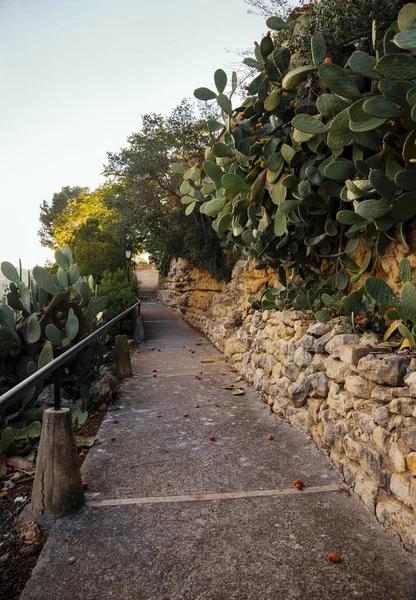 Kaktüsler, Castellet, İspanya ile sokak