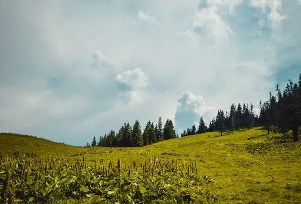 Karpatlar dağlar, Ukrayna