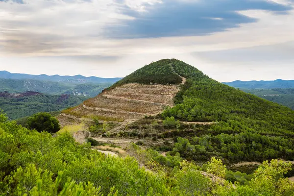 Dağlar Mavi Gökyüzü Karşı Güzel Eski Üzüm Catalonia Spanya Sonbahar — Stok fotoğraf