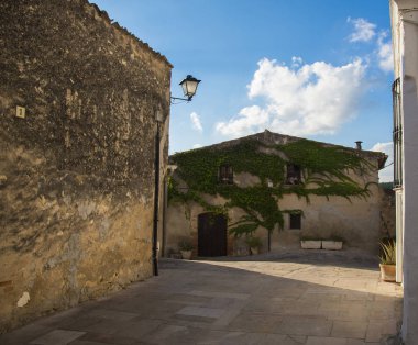 Vahşi asma, İspanya ile dekore edilmiş ev