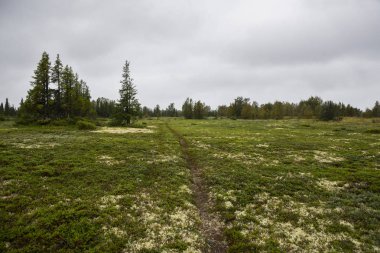 kola Yarımadası, Rusya Federasyonu