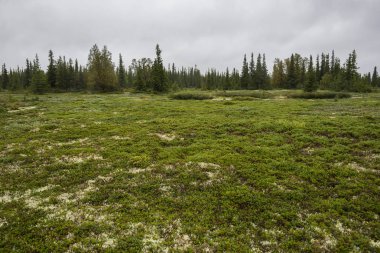 kola Yarımadası, Rusya Federasyonu
