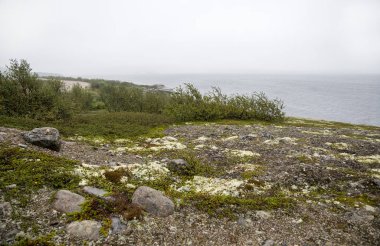 kola Yarımadası, Rusya Federasyonu