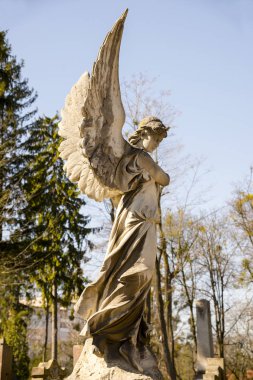 Angel Lychakiv mezarlığında, Lviv, Ukrayna