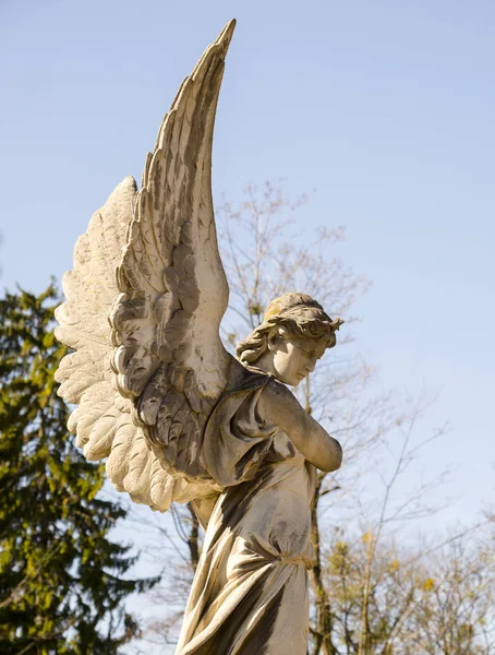 Régi műemlék, angyal, a Lychakiv temetőben, Lviv, Ukrajna — Stock Fotó