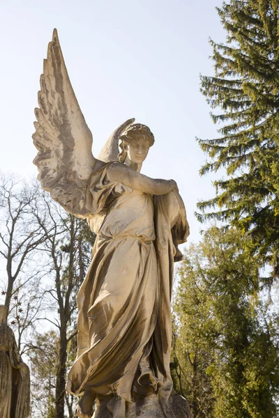 Régi műemlék, angyal, a Lychakiv temetőben, Lviv, Ukrajna — Stock Fotó