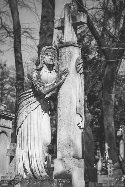 우크라이나 리비우 묘지에 기념비 — 스톡 사진