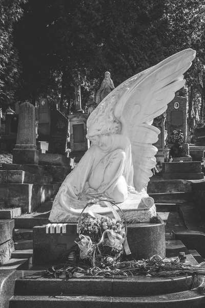 Monumento de anjo no cemitério de Lychakiv, Lviv, Ucrânia — Fotografia de Stock