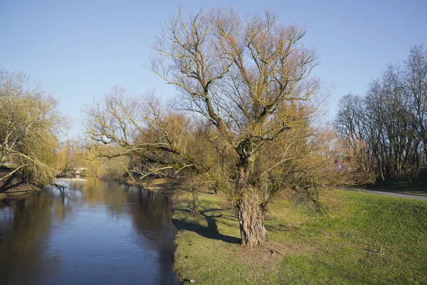 Río Mukhavets Brest Belarús —  Fotos de Stock