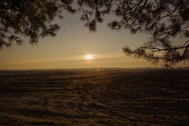 güneşli bir bahar sabahı 