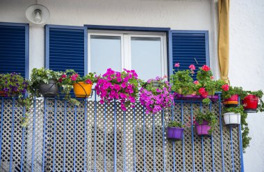 Balkon çiçekleri pot ile