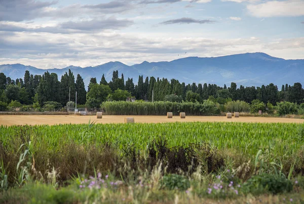 Alan yuvarlak saman balya ile İspanya