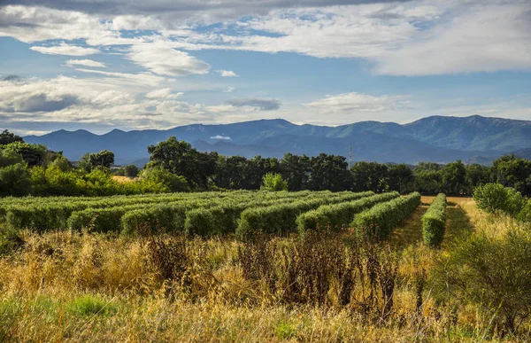 Paisaje en España —  Fotos de Stock