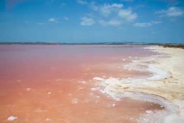 Pembe tuzlu göl Salinas