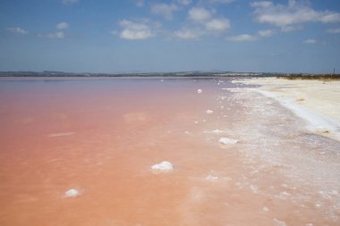 Torrevieja pembe lake
