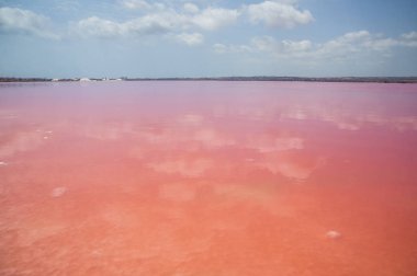 Pembe tuzlu göl ve mavi gökyüzü. Alicante, Torrevieja, İspanya