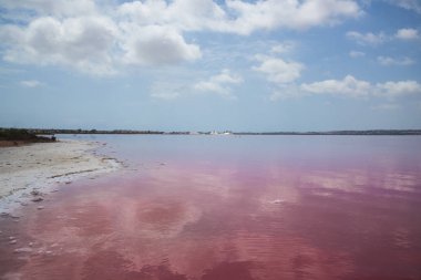 Pembe tuzlu göl ve mavi gökyüzü. Alicante, Torrevieja, İspanya