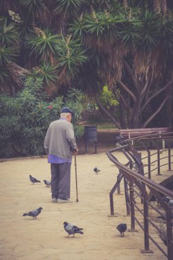 Barcelona, İspanya - 10 Ekim 2016: yaşlı adam bir yürüyüş ve Parc de la Ciutadella