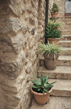 Antik Besalu sokaklarında