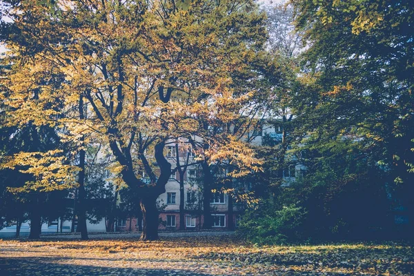 Autumn Landscape City Park — Stock Photo, Image