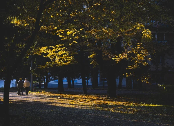 Autumn City Park — Stock Photo, Image