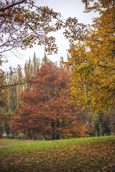 城市公园的秋天风景 — 图库照片
