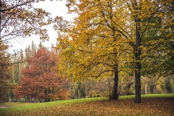 秋の都市公園 — ストック写真