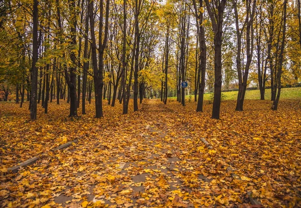 Осенний Пейзаж Городском Парке — стоковое фото