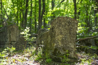 Kırım'Karay mezarlığı. Mezar taşları