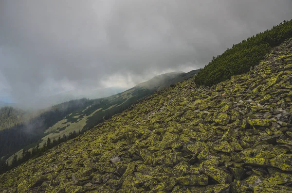 Piedras Verdes Montaña Musgosas — Foto de Stock