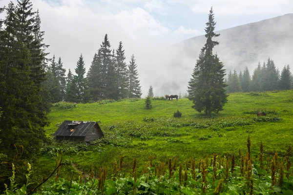 Landschaft Den Karpaten — Stockfoto