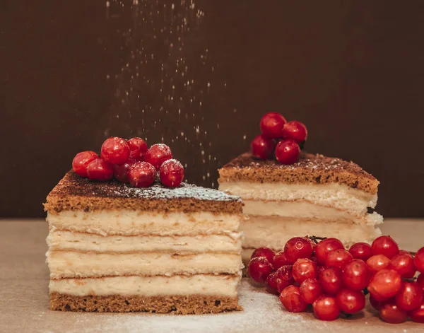 Torta di formaggio con zucchero a velo — Foto Stock