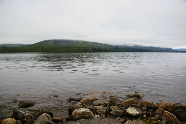 Krajina s lesem tundry a jezero Lovozero — Stock fotografie