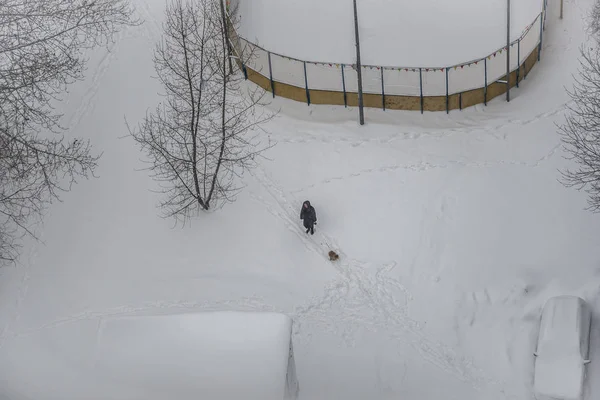Kobieta Spaceru Psem Parku Miejskim Zimie Moskwa — Zdjęcie stockowe