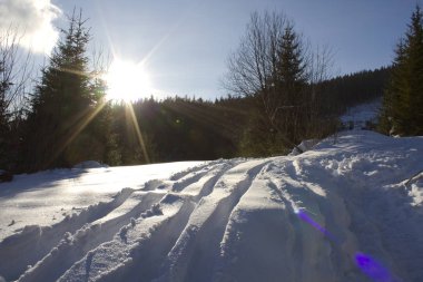 Güneşli kış gününde kayaklardan izler