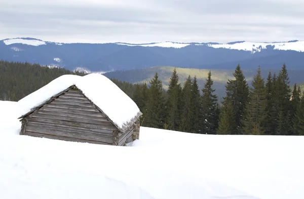 Winterlandschaft Den Karpaten — Stockfoto