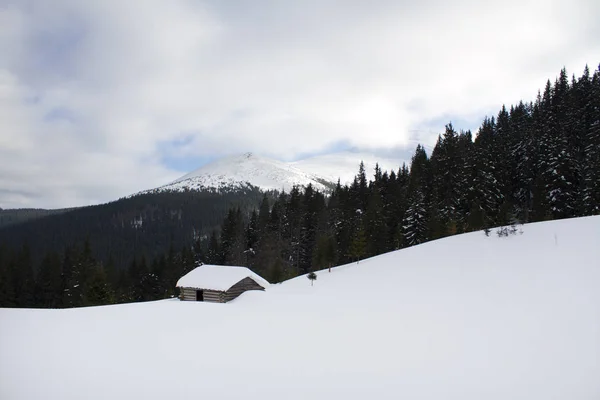 Oud Houten Huis Karpaten Winter Met Veel Sneeuw — Stockfoto