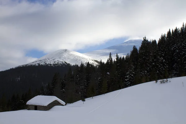 Vecchia Casa Legno Rovina Nei Carpazi Inverno Con Molta Neve — Foto Stock