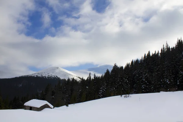 Zimowy krajobraz gór Karpat — Zdjęcie stockowe