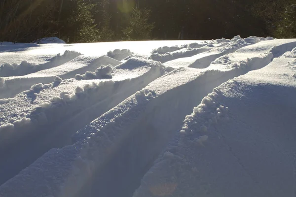 在阳光明媚的冬日，滑雪板的痕迹 — 图库照片