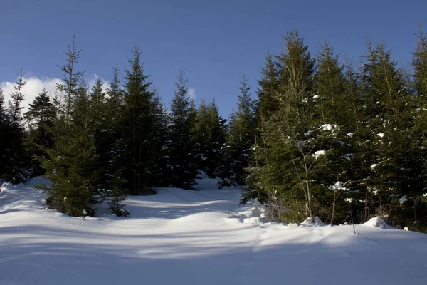 Zimowy Krajobraz Gór Karpat — Zdjęcie stockowe