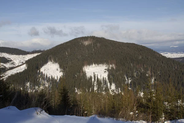 Winterlandschap in de bergen van de Karpaten — Stockfoto