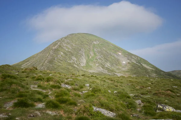 Paesaggio estivo nelle montagne dei Carpazi — Foto Stock