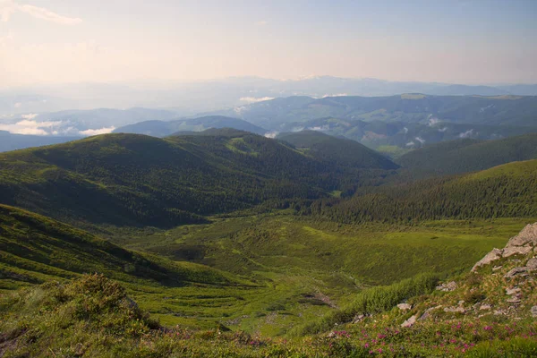 Summer landscape in the Carpathian mountains — Stock Photo, Image