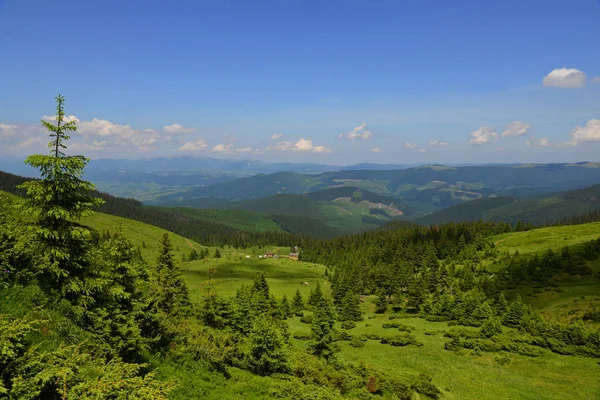 Paesaggio Estivo Nella Regione Chornohora Dei Carpazi Ucraina — Foto Stock