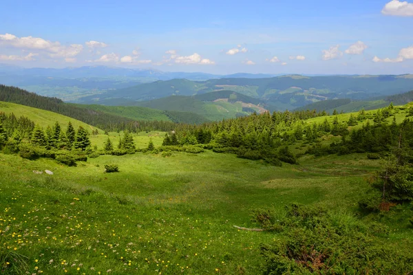 Karpat dağlarında yaz manzarası — Stok fotoğraf